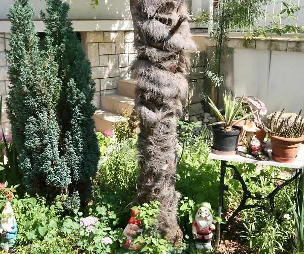 Apartamento With Parking Space Selce, Crikvenica - 5366